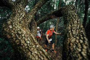 BIB: 
                            <button type="button" onclick="openModal(25393684)" class="btn btn-primary btn-sm float-right btn-popup" data-toggle="modal" data-target=".modal-high-quality">
                        <i class="fas fa-shopping-cart"></i> Add to Cart
                    </button>
                                            <button type="button" onclick="isThisMe(25393684, true)" class="btn btn-success btn-sm float-right btn-popup btn-isme hidden" data-toggle="tooltip" data-placement="bottom" title="นี่คือรูปของคุณใช่ไหม คลิกที่นี่เพื่อเอาเข้าอัลบั้ม">
                        <i class="fas fa-plus"></i> Add to album
                    </button>
                    <button type="button" onclick="isThisMe(25393684, false)" class="btn btn-warning btn-sm float-right btn-popup btn-isnotme hidden">
                        <i class="fas fa-ban"></i> Remove from album
                    </button>